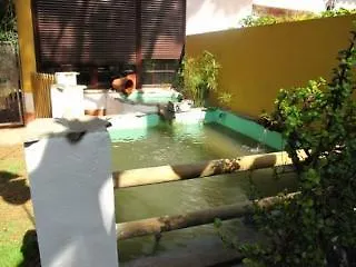 Apartment Vivienda Rural Los Pepe Chiclana de la Frontera